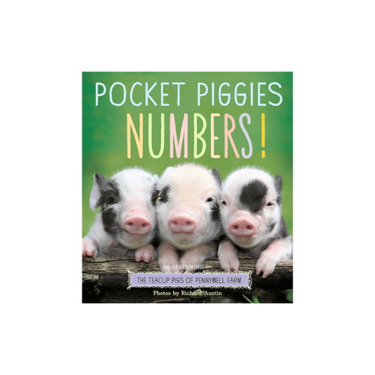 Pocket Piggies Numbers