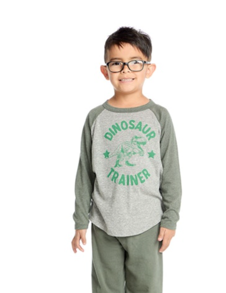 Dinosaur Trainer Triblend Tee- Streaky Grey