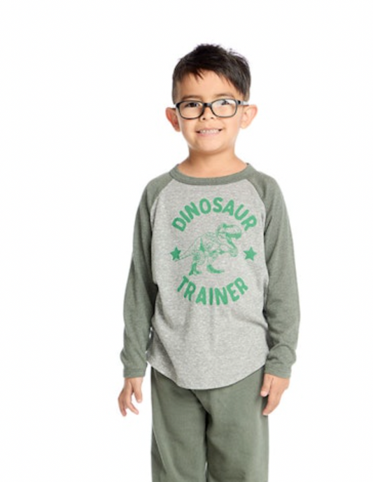 Dinosaur Trainer Triblend Tee- Streaky Grey