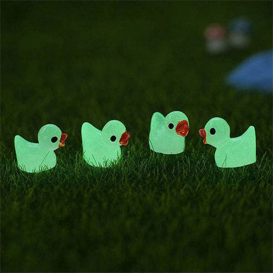 Hide A Duck - Glow in the Dark