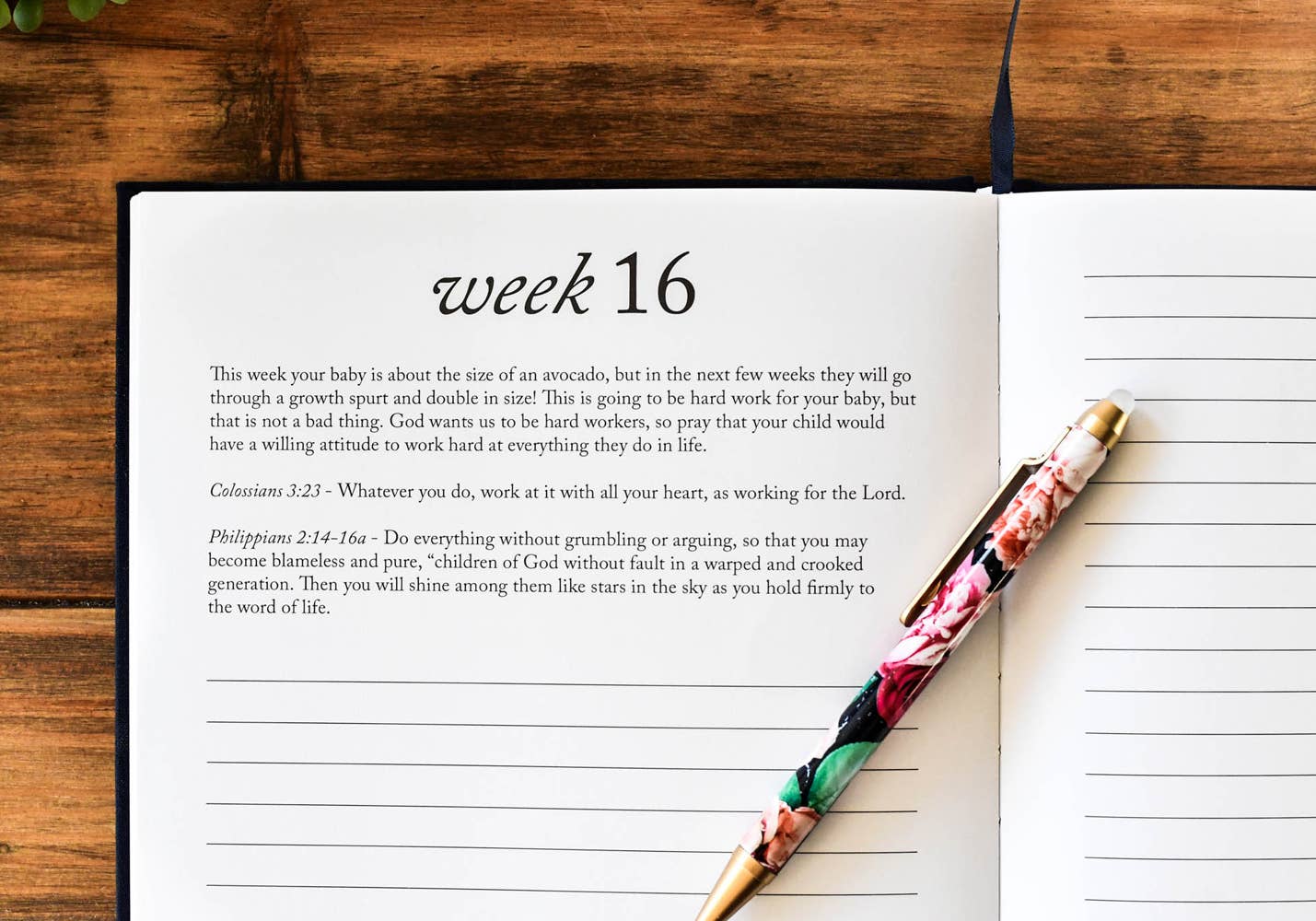 Dear Baby Prayer Journal & Memory Book for Moms: Ivory