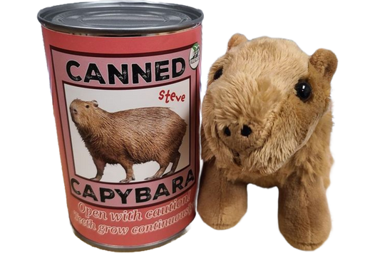 Steve the Canned Capybara