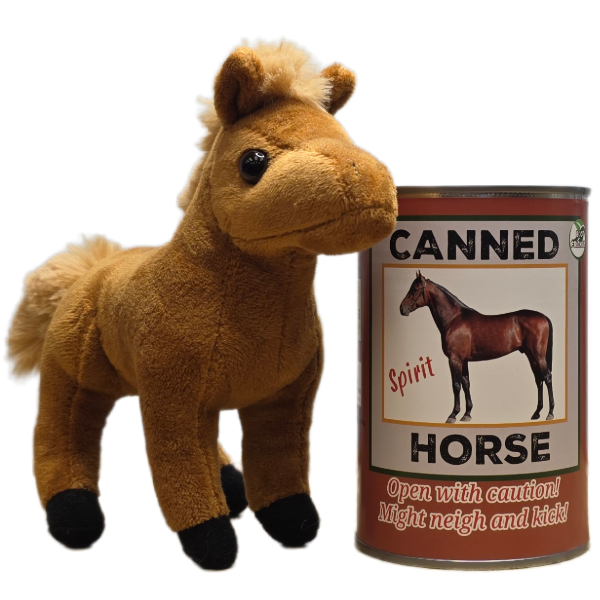 Spirit the Canned Horse