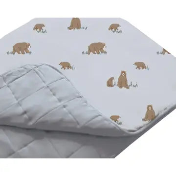 Mini Cloud Blanket-Teddies