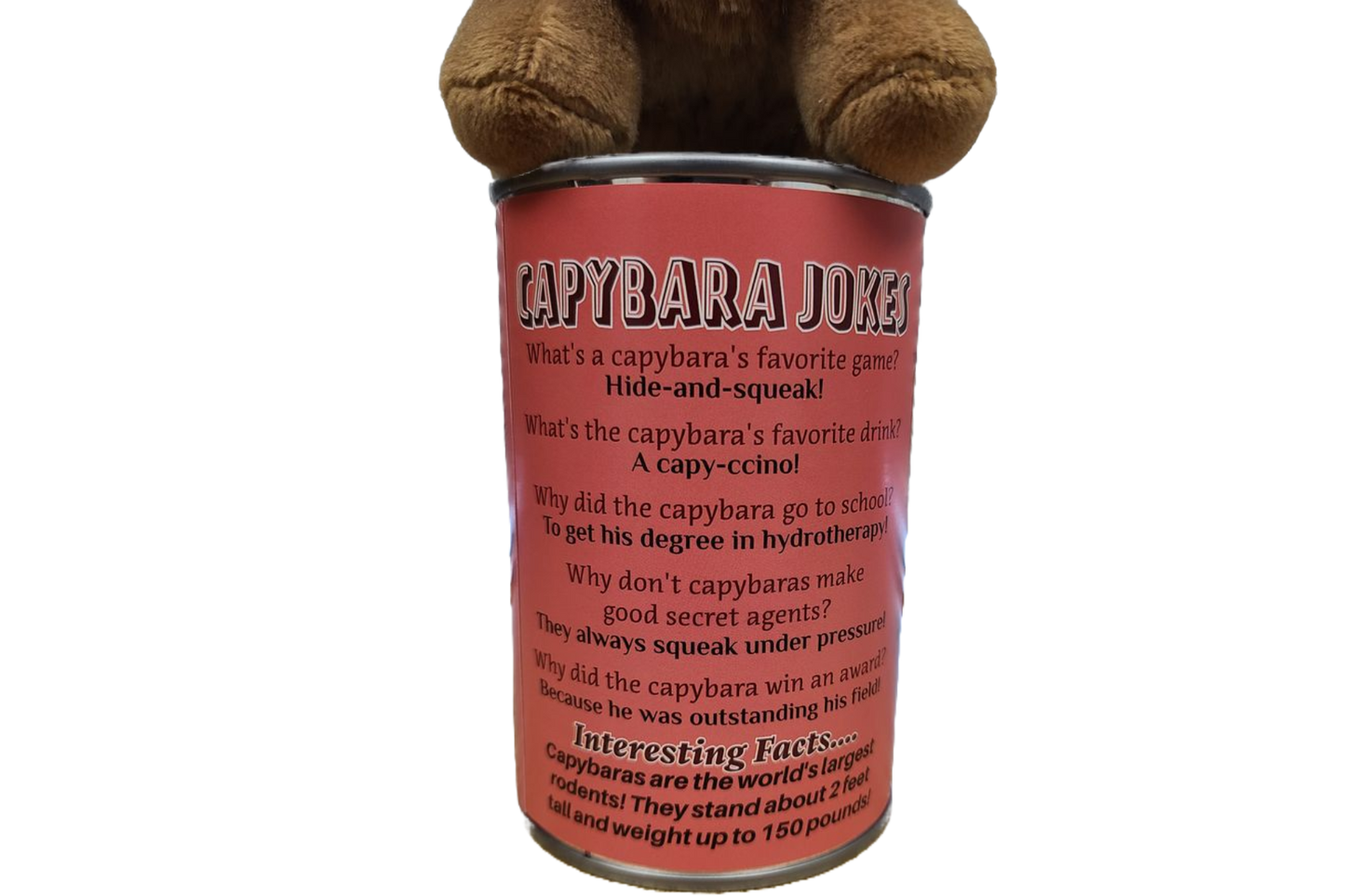 Steve the Canned Capybara