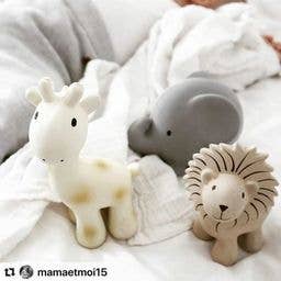 Lion - Rubber Teether