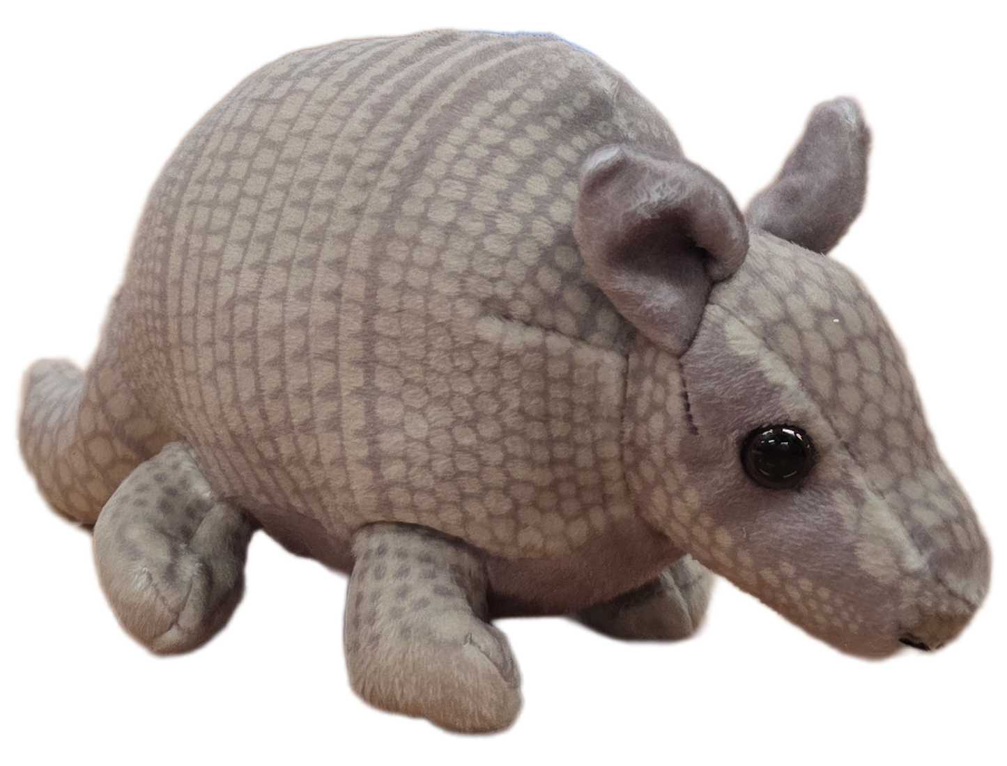 Canned Armadillo