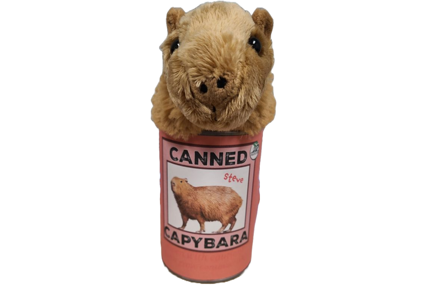 Steve the Canned Capybara