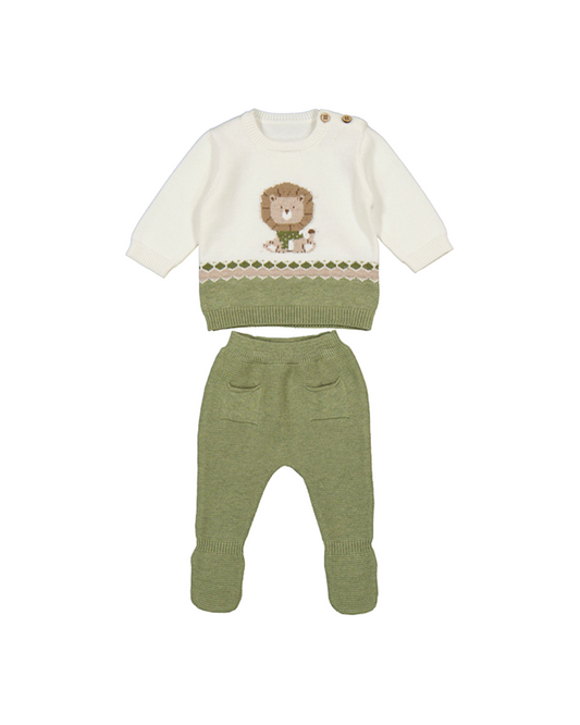 Leg Warmer Set - Green Lion