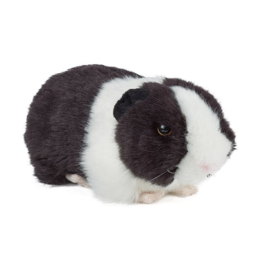 Black Guinea Pig w/Sound