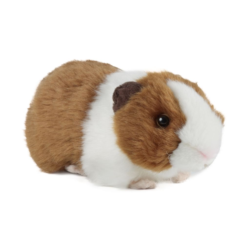 Brown Guinea Pig w/Sound