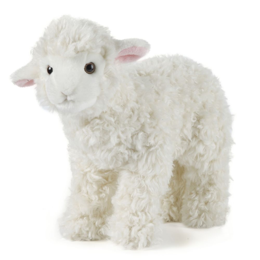 Lamb Large